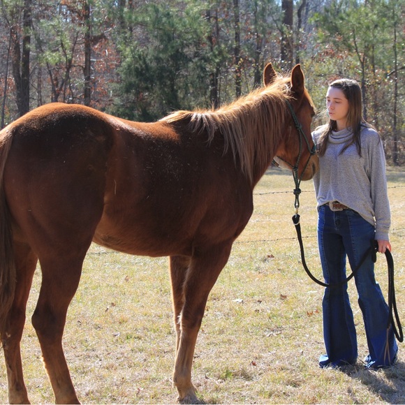 Meet your Posher, Taylor - Picture 4 of 8